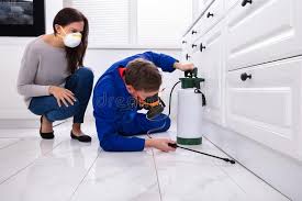 Indoor Pest Control in Winter Springs, FL